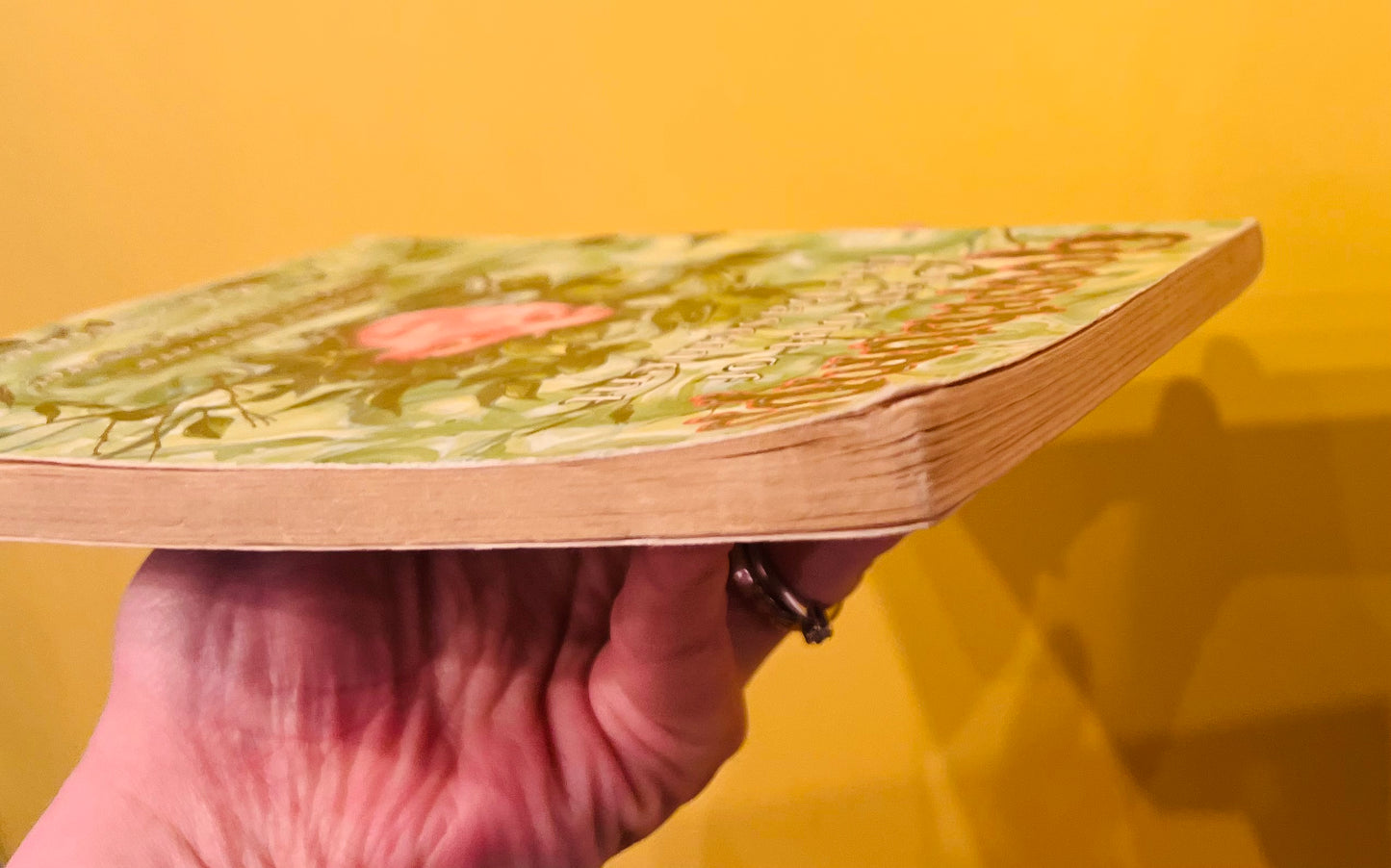 Stay out of the Basement Goosebumps book