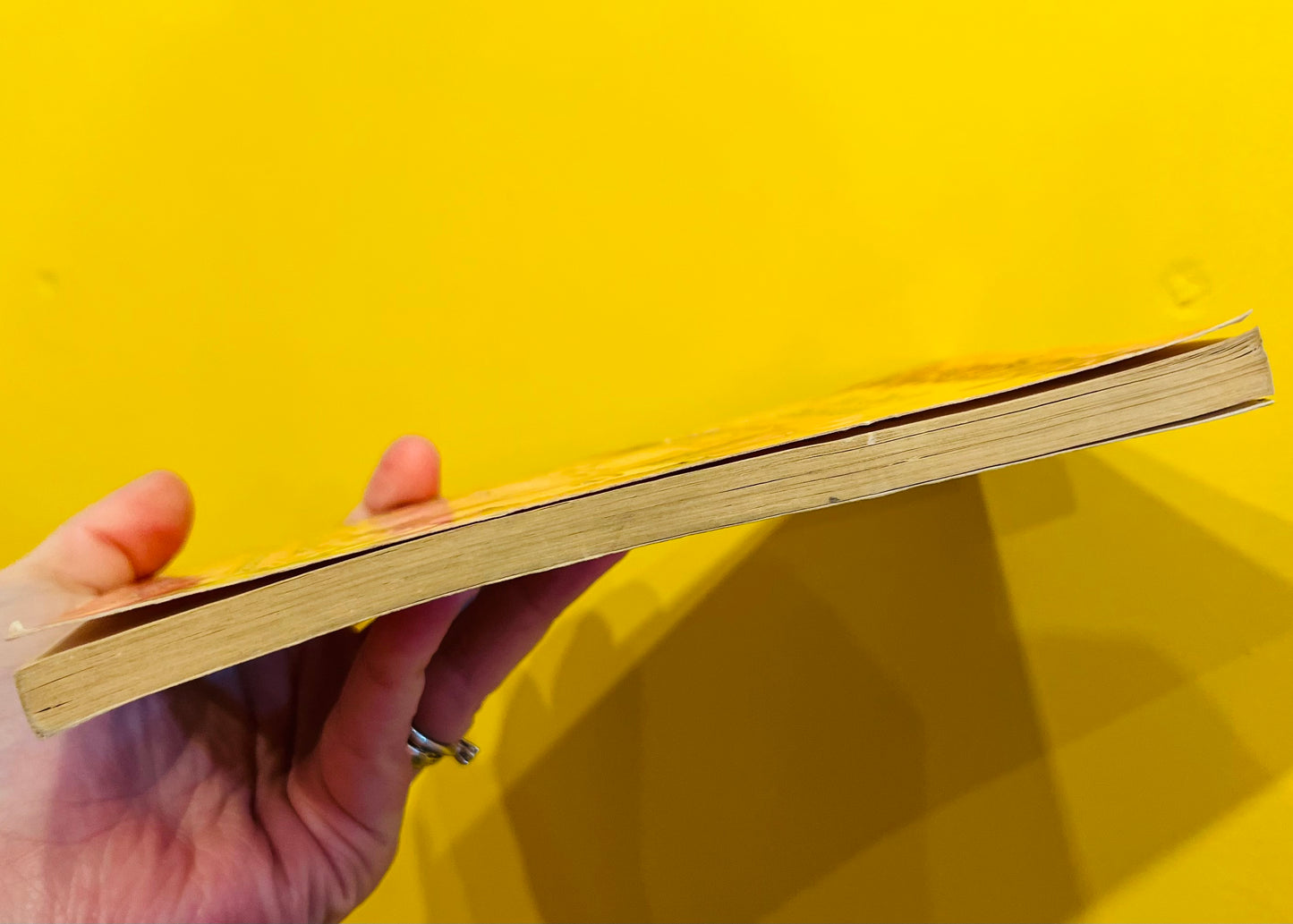 You can’t Scare Me! Goosebumps book