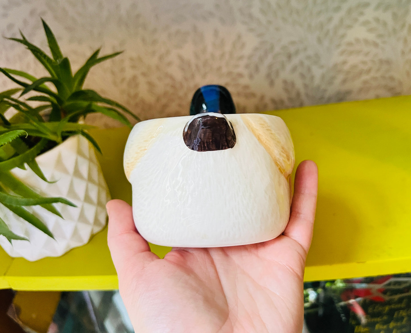 Mini Duck Ceramic Planter