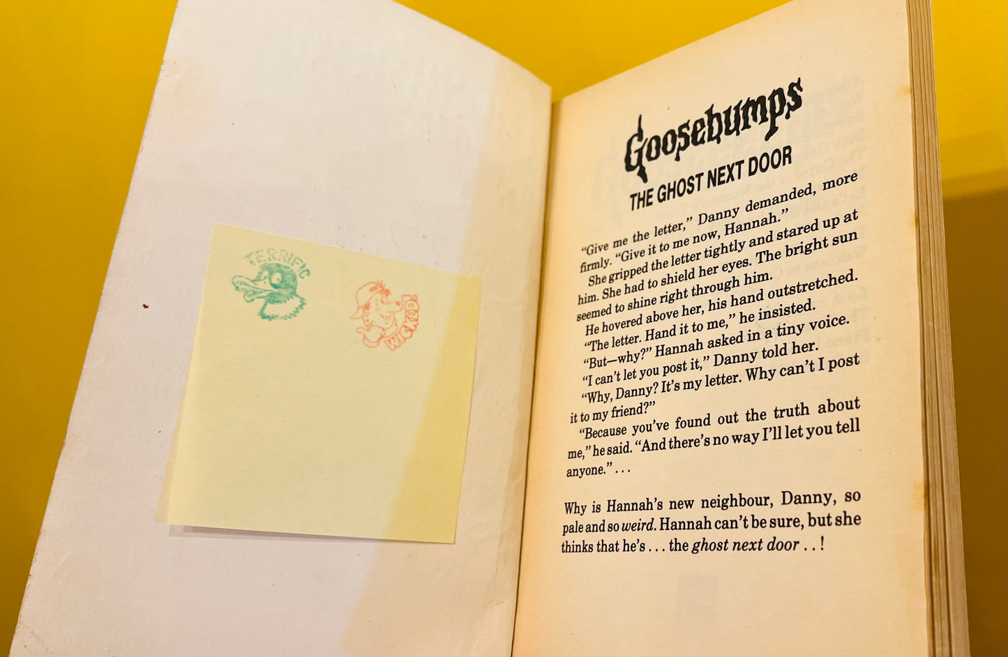 The Ghost Next Door Goosebumps book