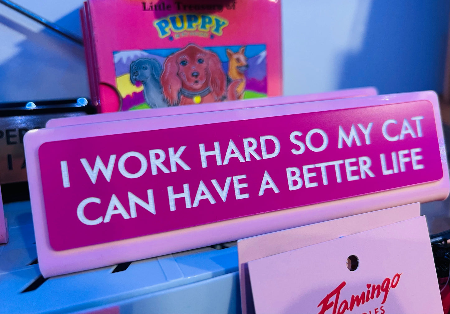 I Work Hard So My Cat Can Have A Better Life Desk Plate Sign