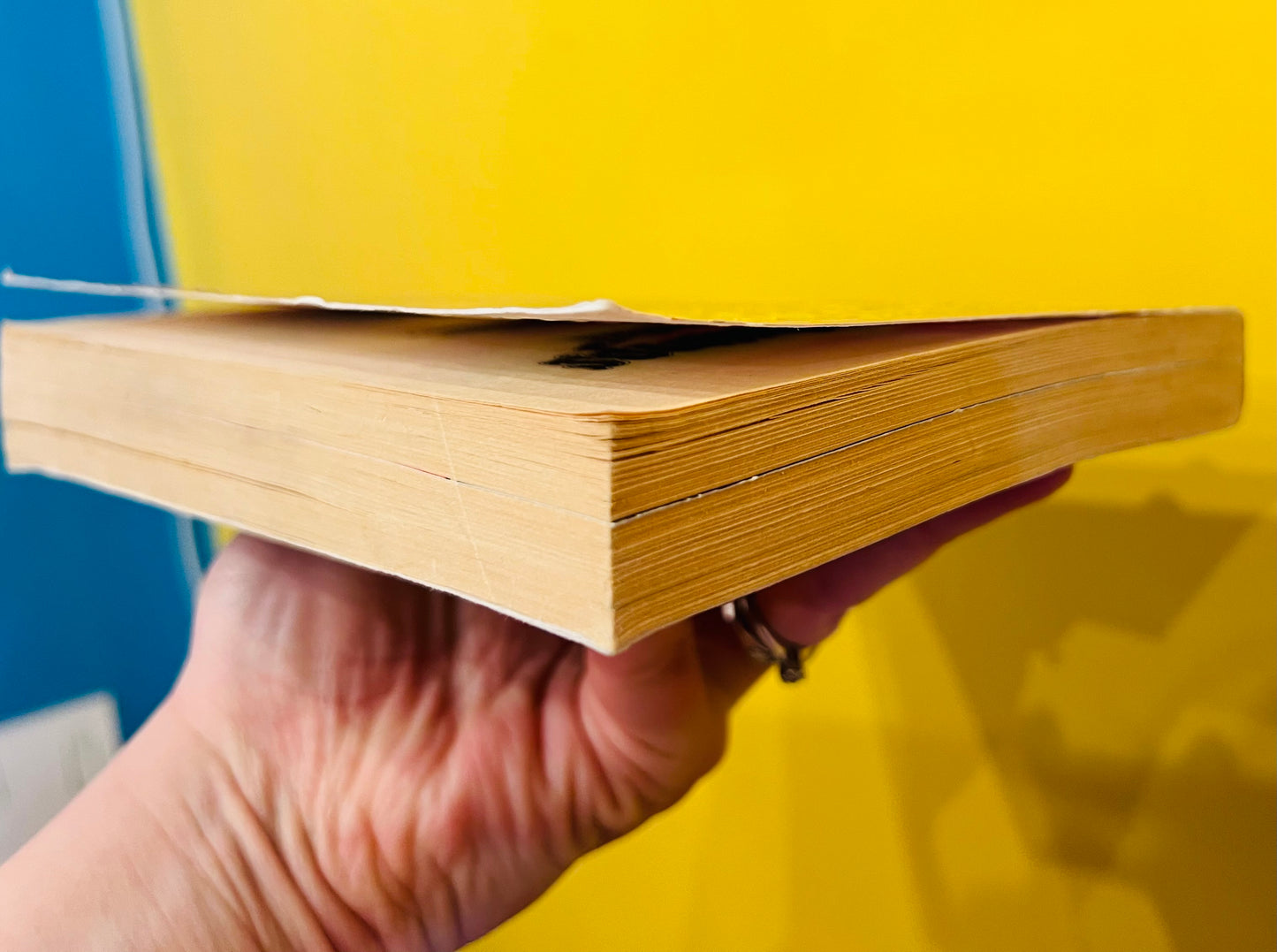 TV Special Goosebumps book