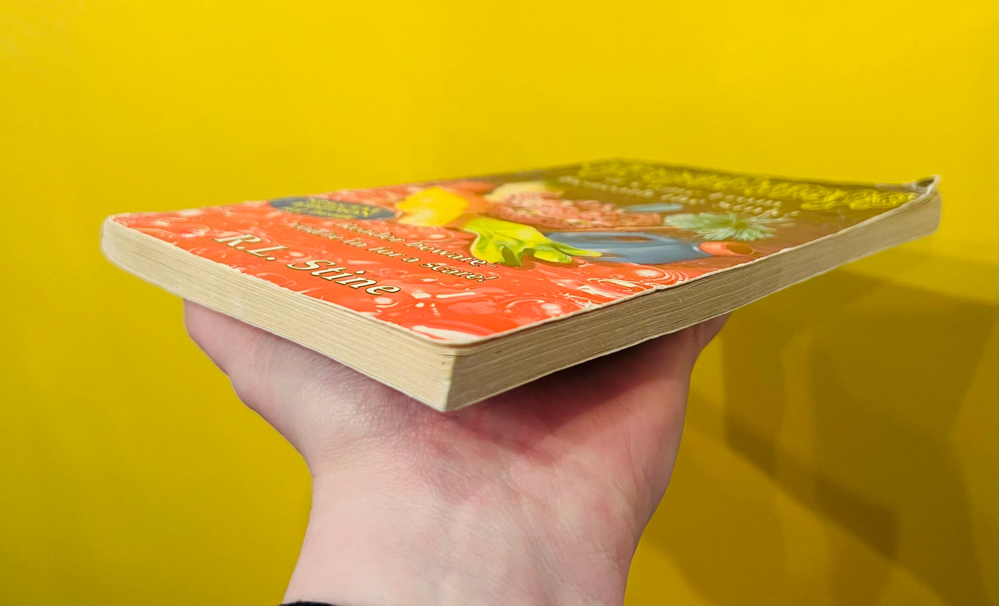 It Came from Beneath the Sink Goosebumps book