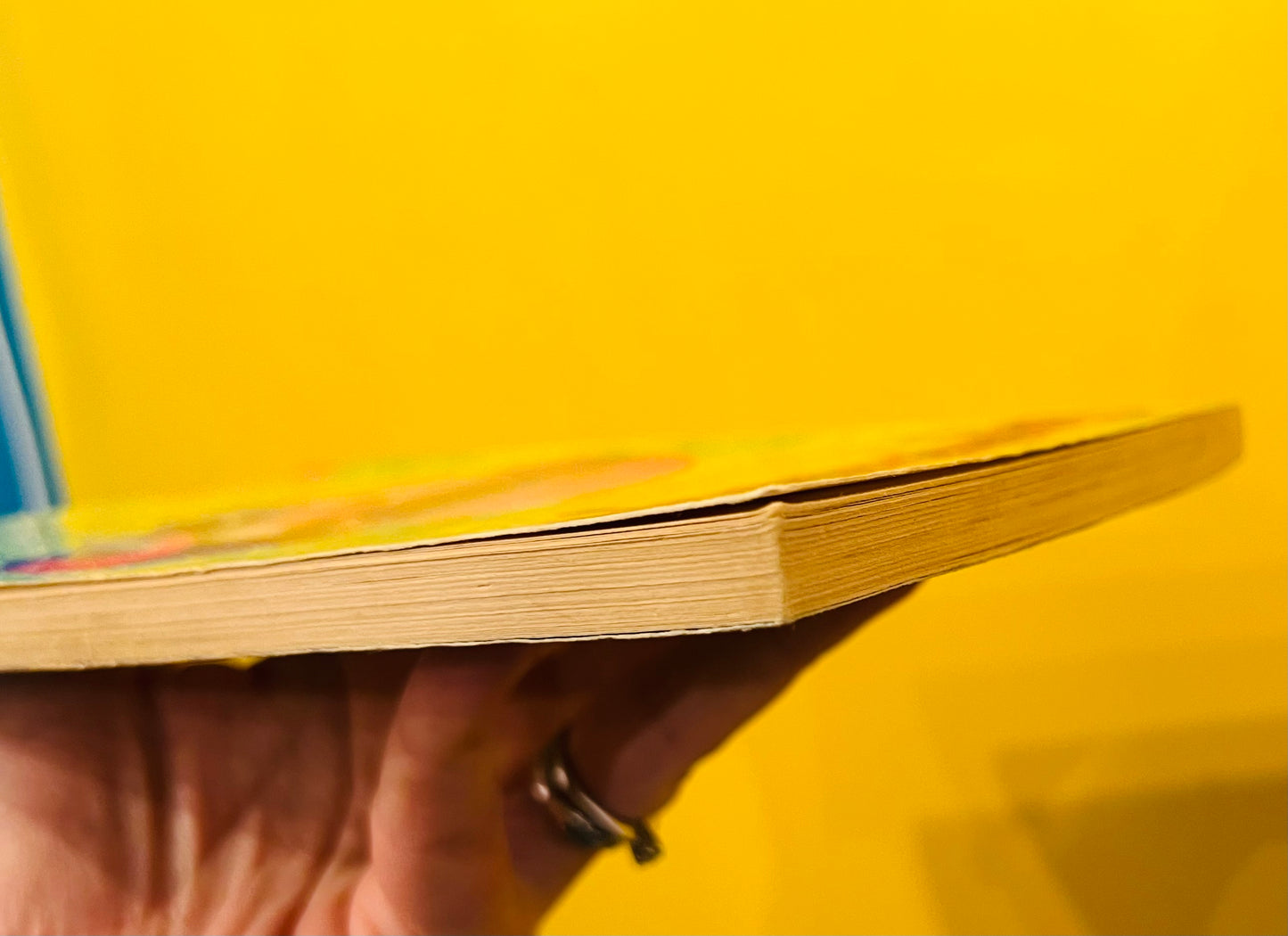 My Best Friend is Invisible Goosebumps book