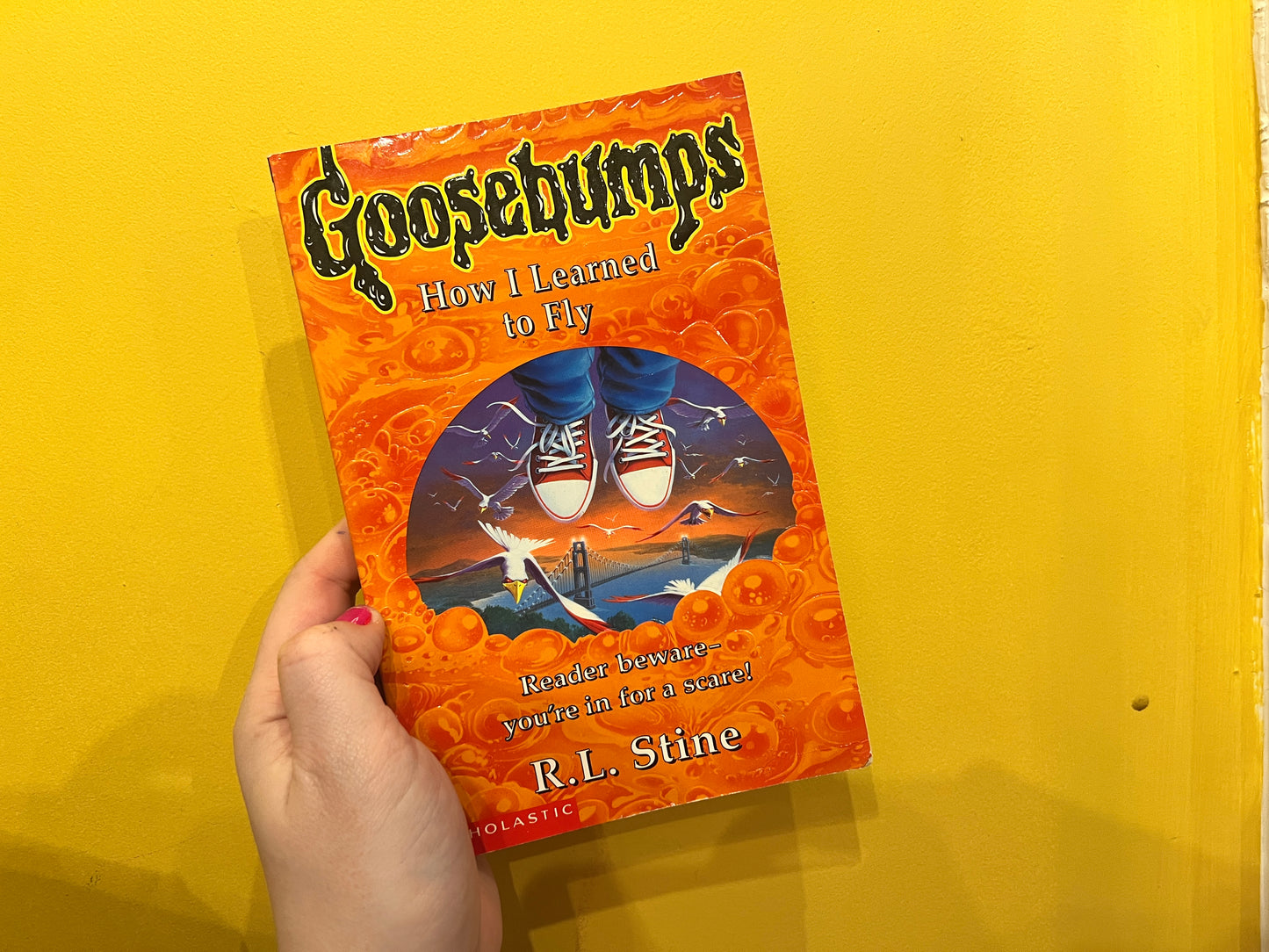 ( 52) How I Learned How To Fly Goosebumps book