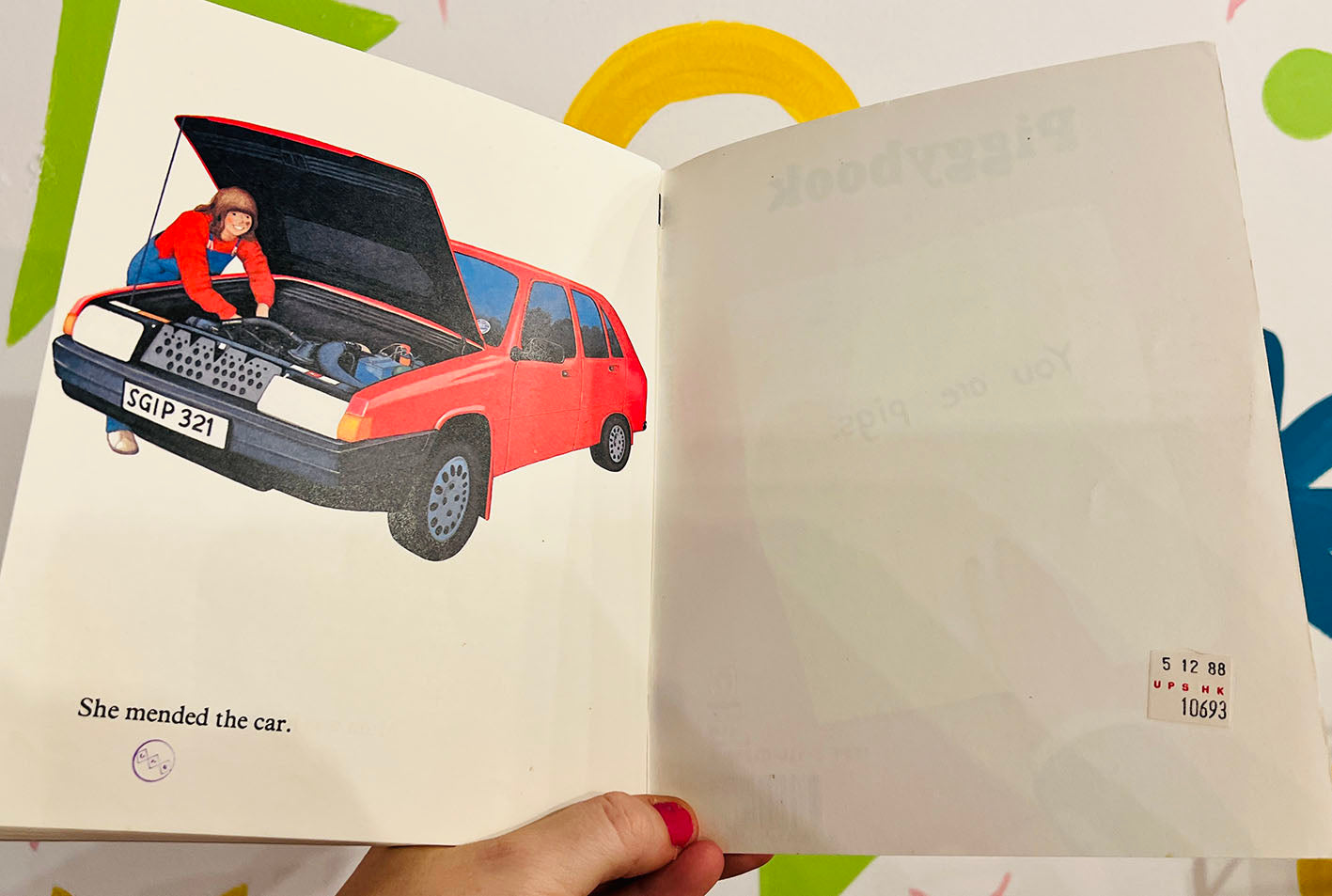 Piggybook Picture Book