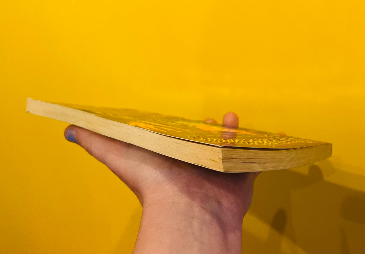 A Night in Terror Tower Goosebumps book