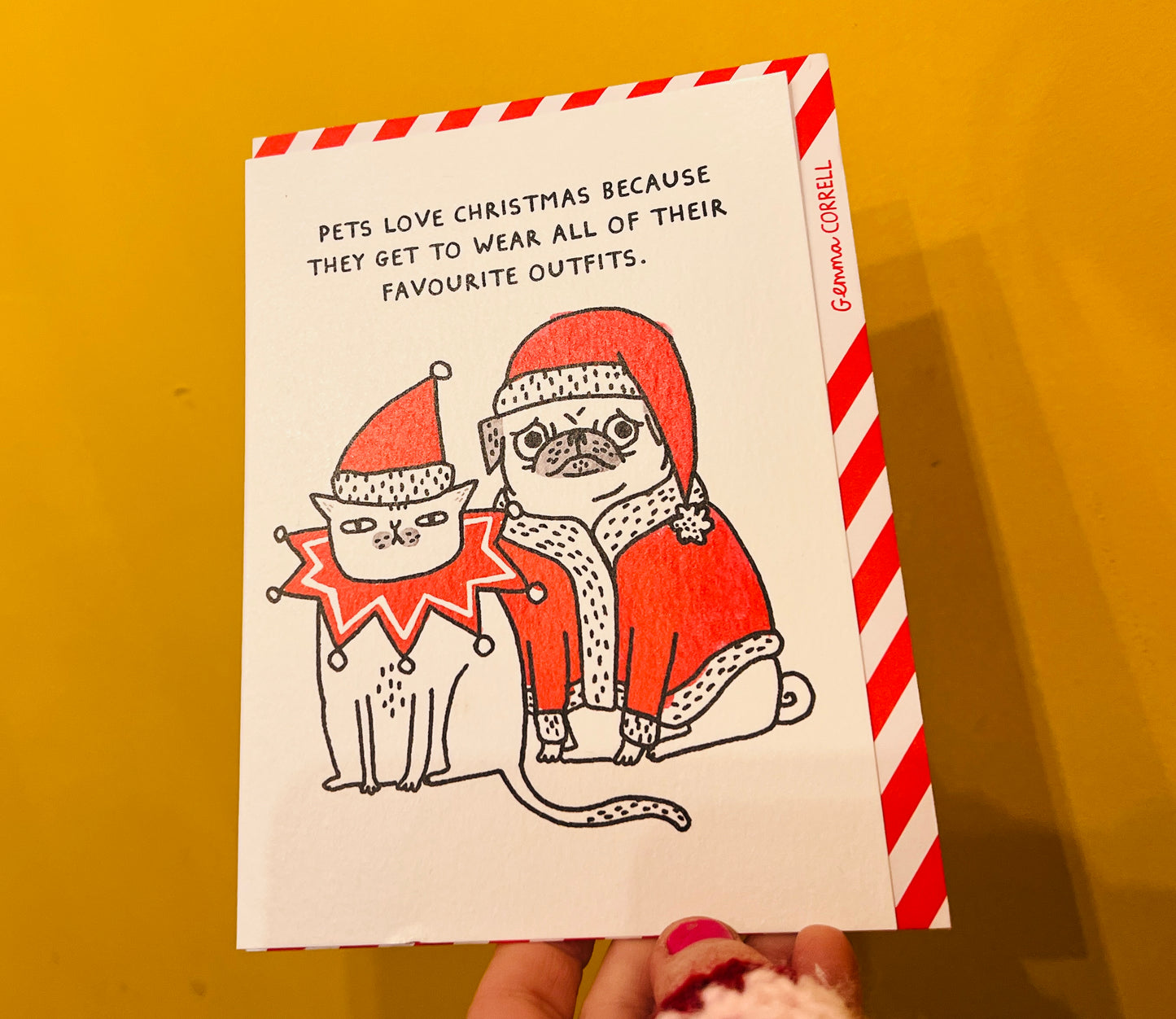 Pets Love Christmas card