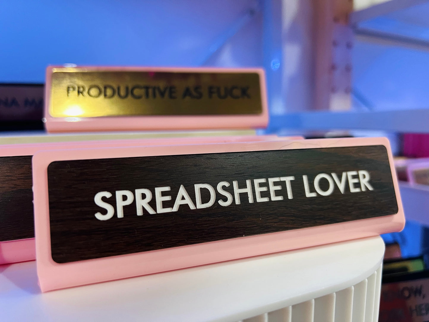 Spreadsheet Lover Desk Plate Sign