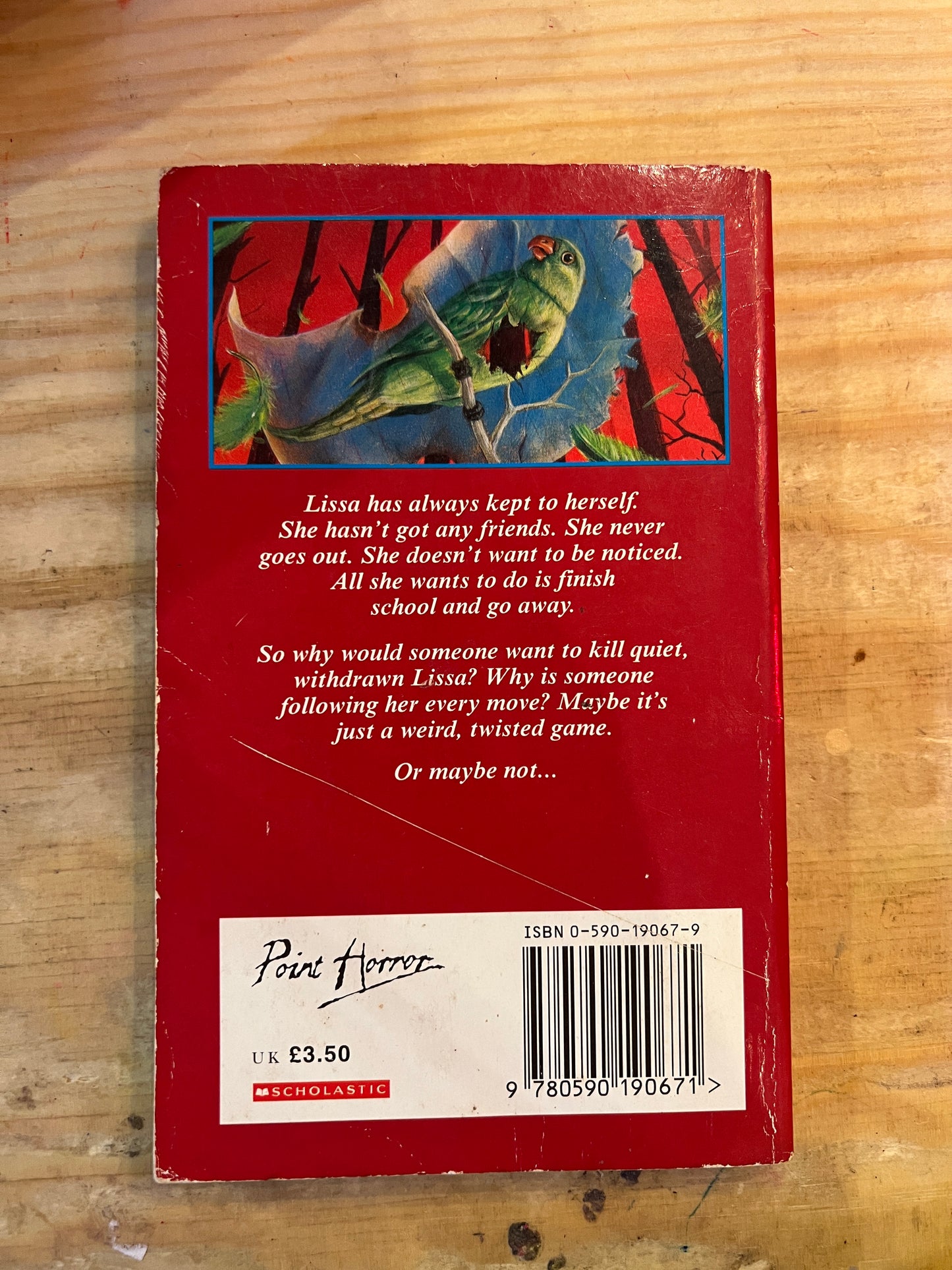 Point Horror Hide And Seek book