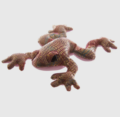 Medium sized sand frogs - pick yours!