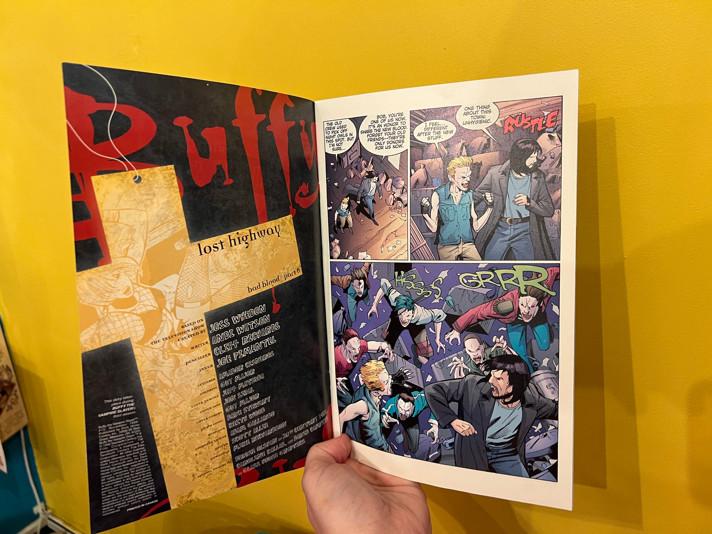 # 15 Buffy the Vampire Slayer Comic book