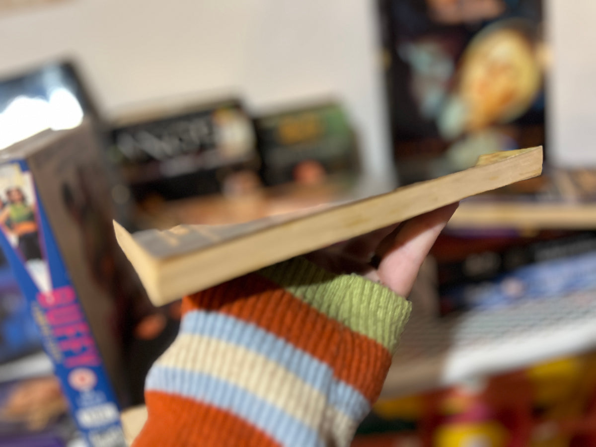 The Lost Slayer Buffy the Vampire Slayer book