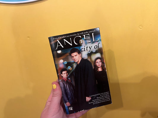Angel City Of book