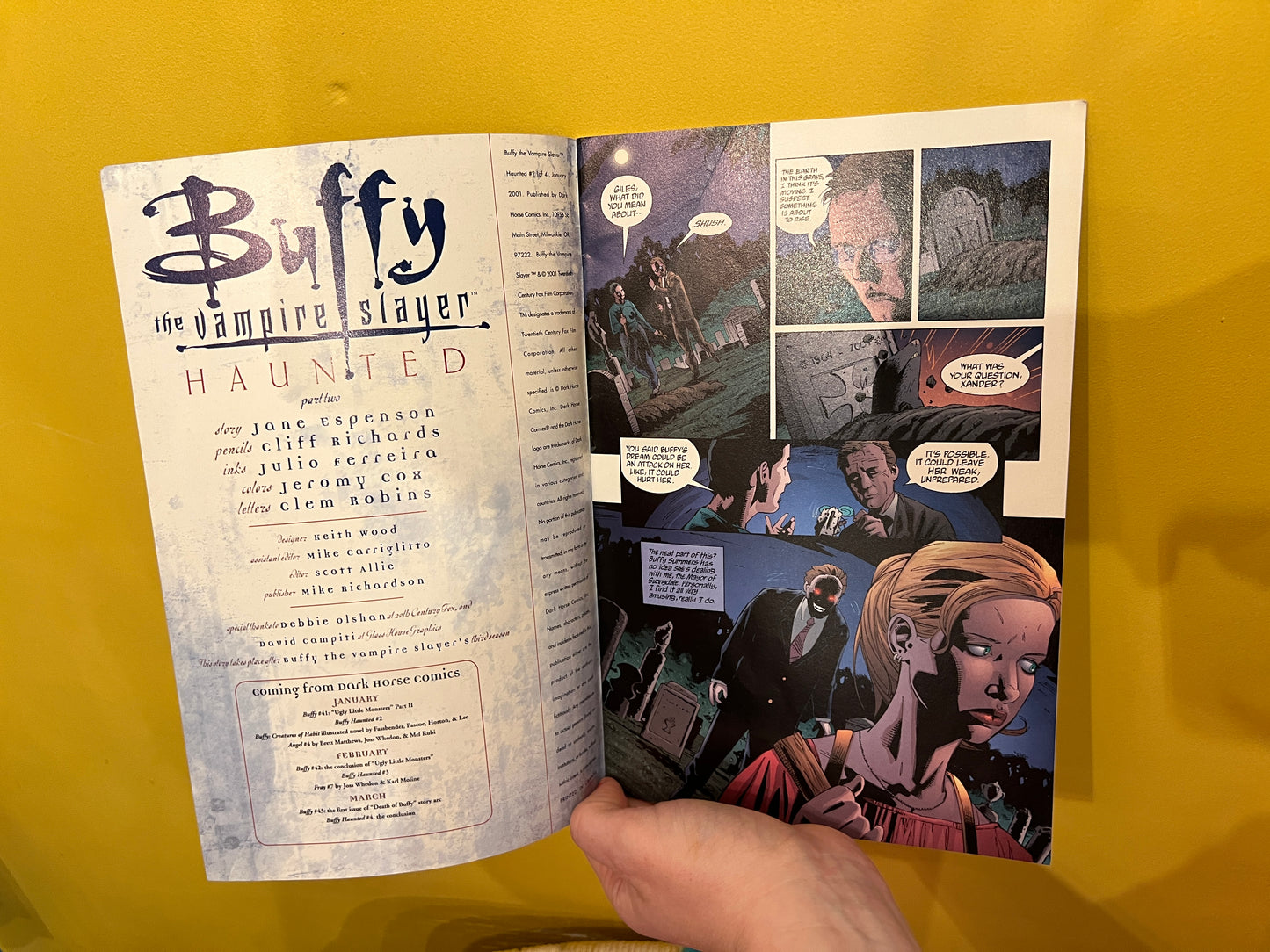 # 2 Buffy the Vampire Slayer Comic book (Copy)
