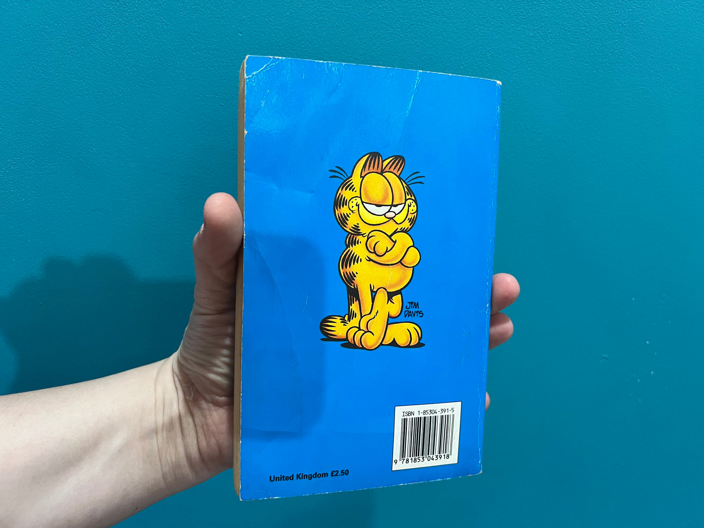 The Reluctant Romeo Vintage 1980s Garfield book