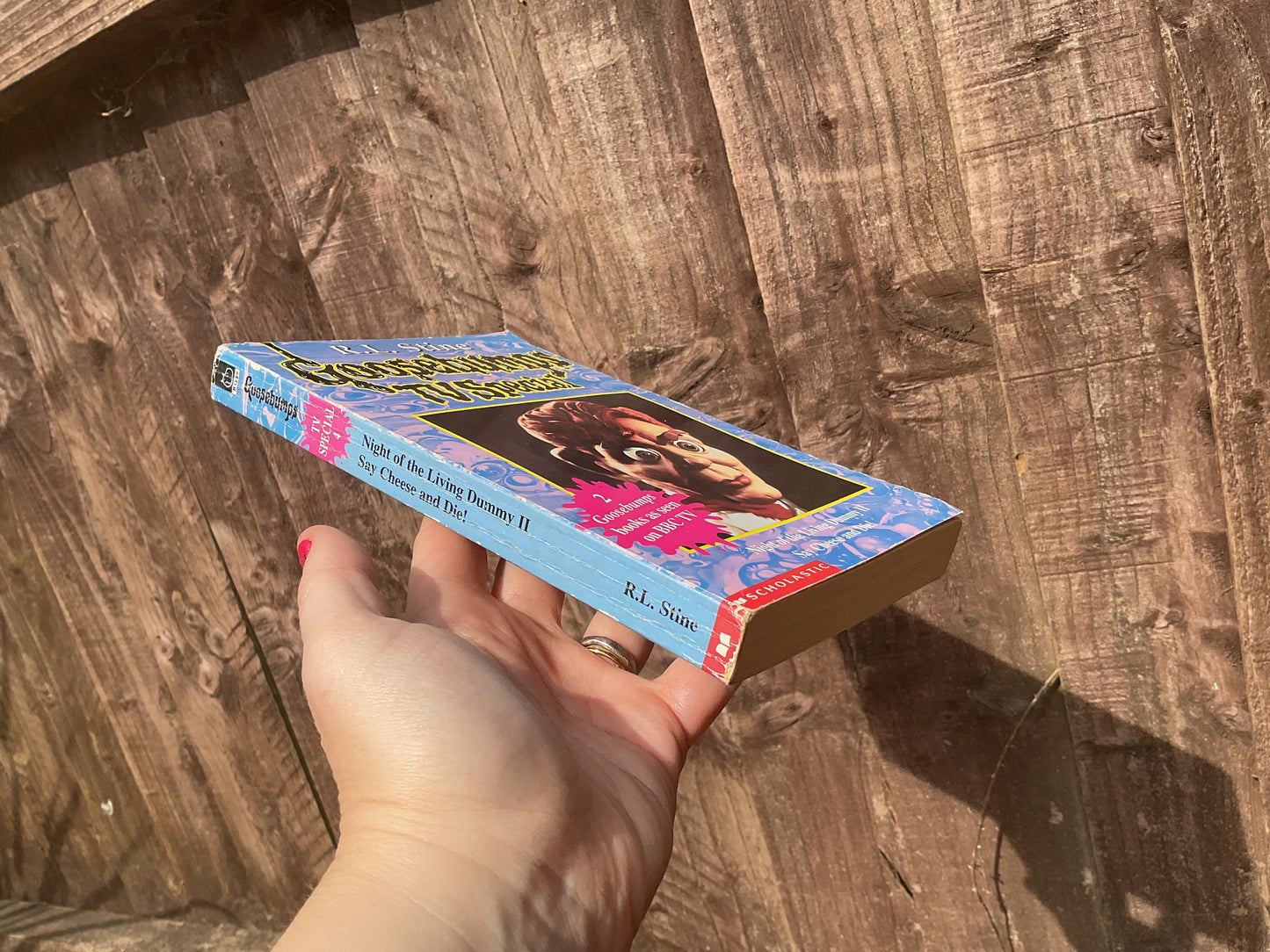Goosebumps TV Special book of two stories