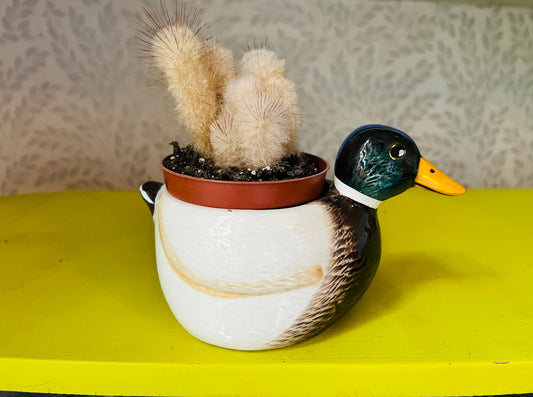 Mini Duck Ceramic Planter