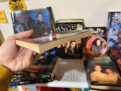 The Lost Slayer part 3 Buffy the Vampire Slayer book
