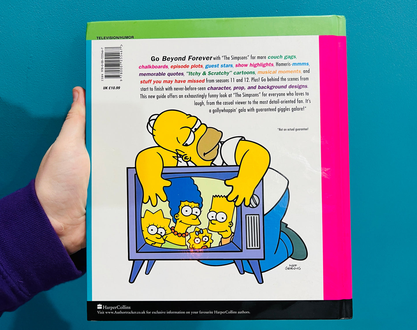 The Simpsons Beyond Forever! hardback book