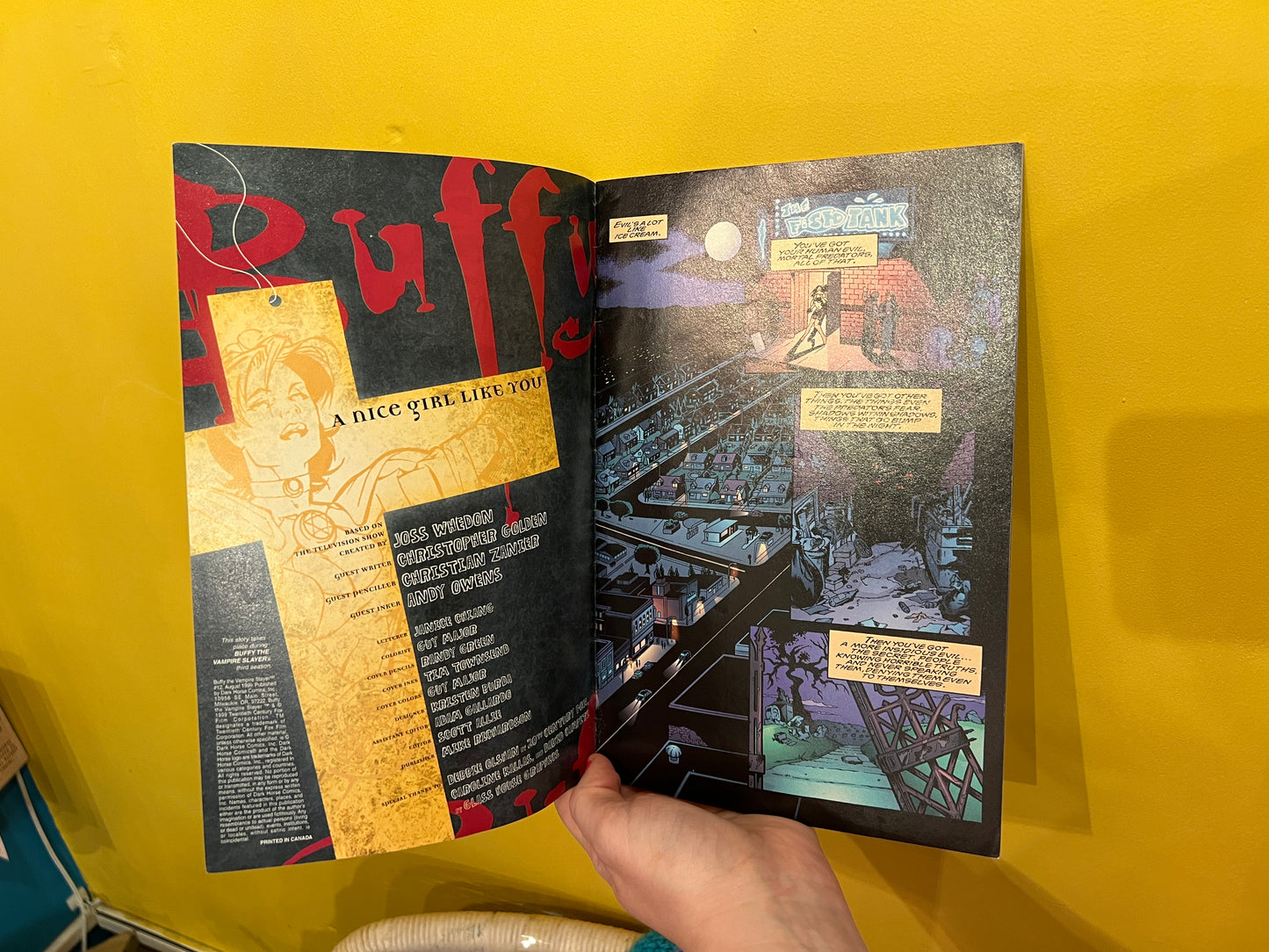 # 12 Buffy the Vampire Slayer Comic book