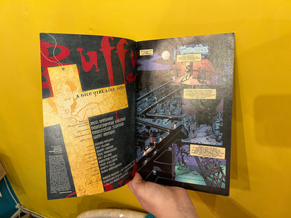 # 12 Buffy the Vampire Slayer Comic book