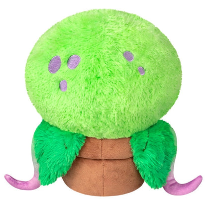 Mini Venus Flytrap Plush Squishable plush
