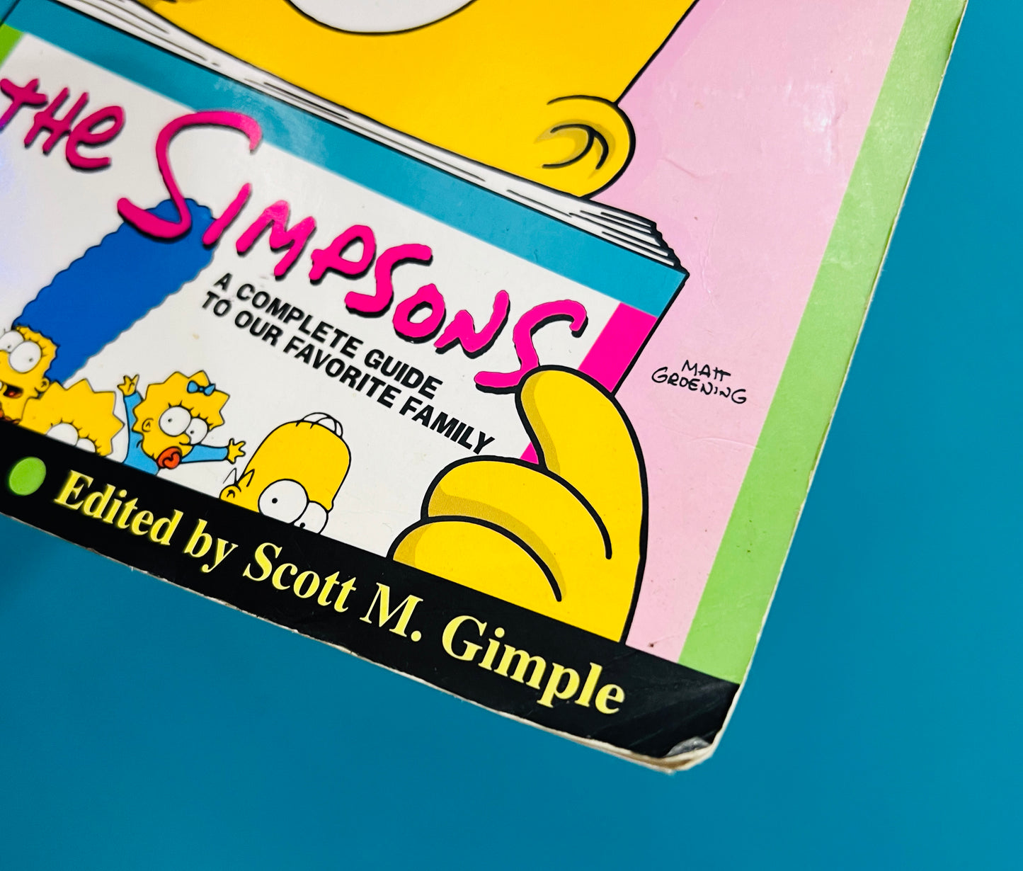 The Simpsons Forever paperback book