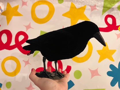 Fuzzy Crow Pals - lifelike Crow props