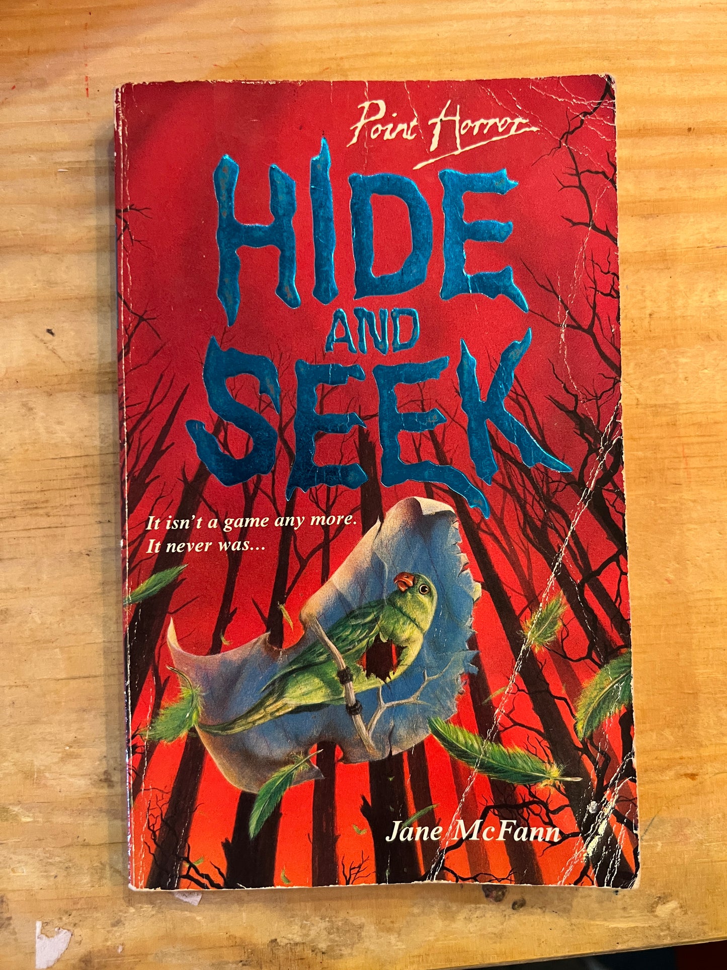 Point Horror Hide And Seek book