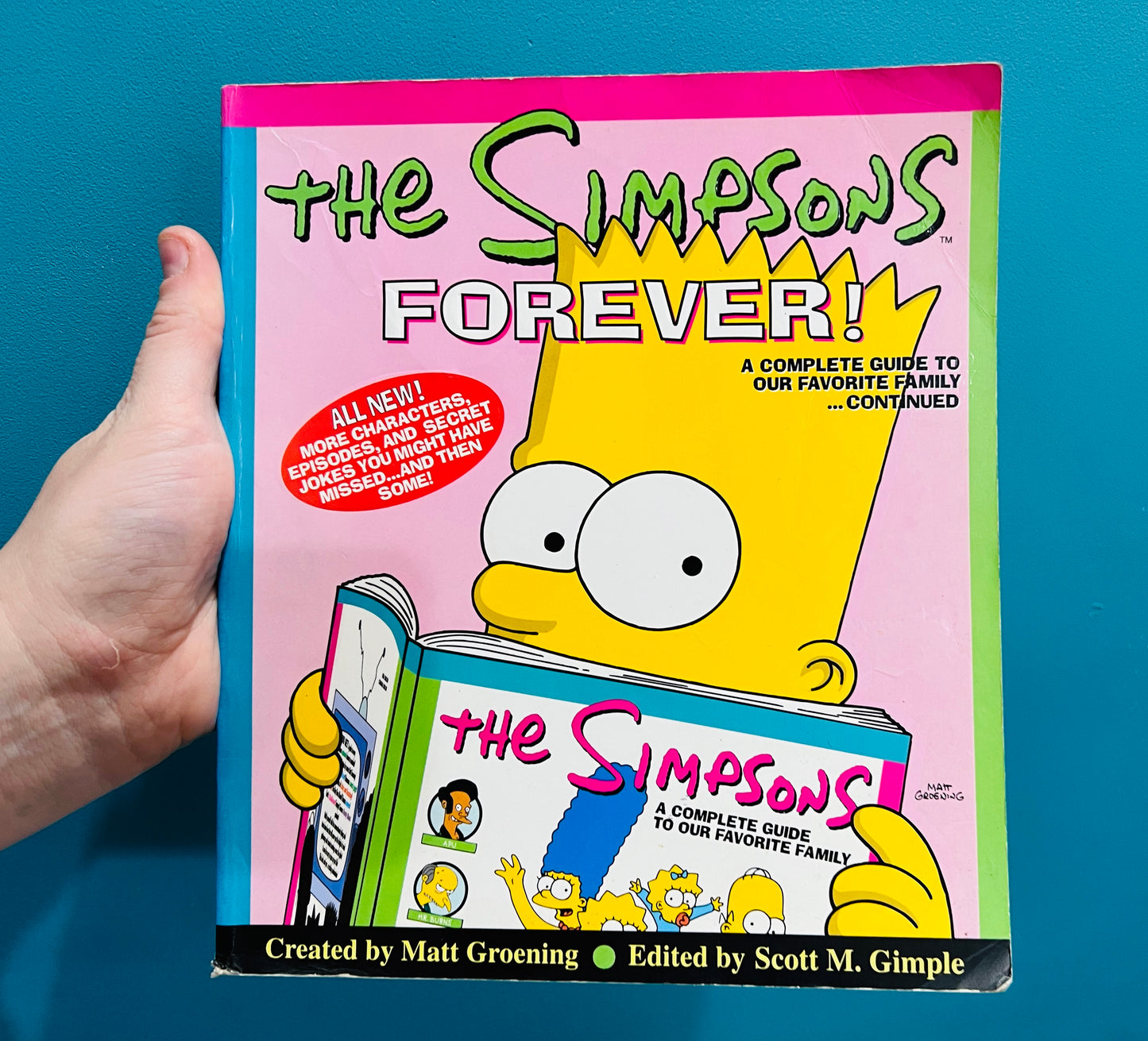 The Simpsons Forever paperback book