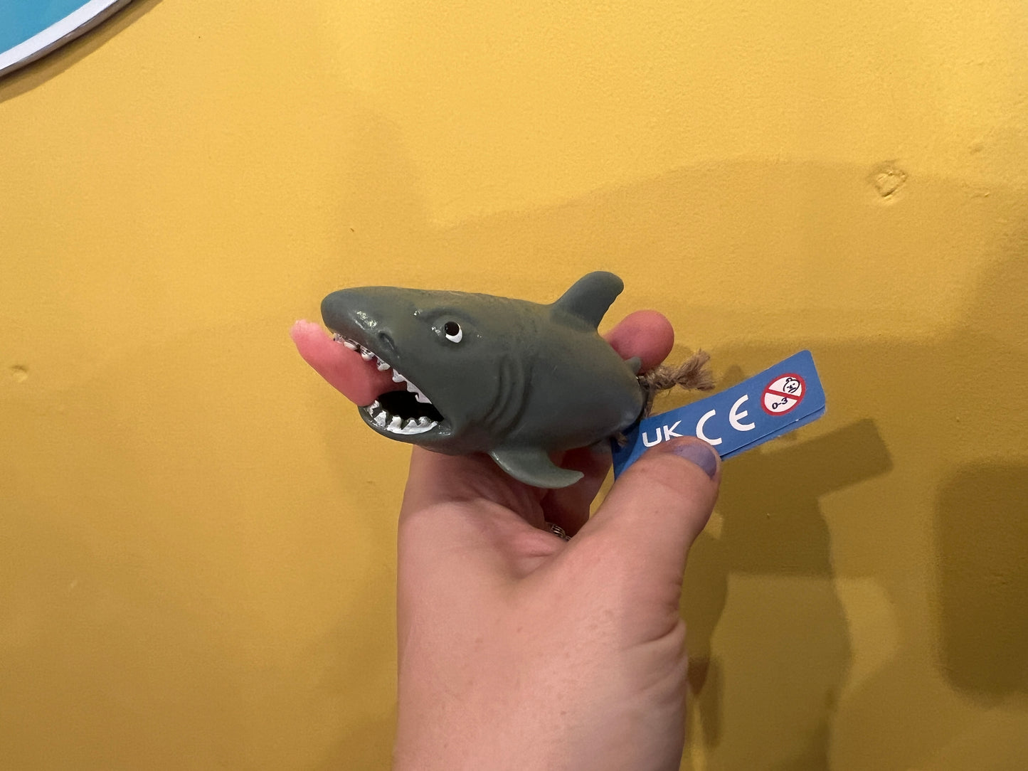 Squeezy Shark toy