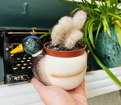 Mini Duck Ceramic Planter