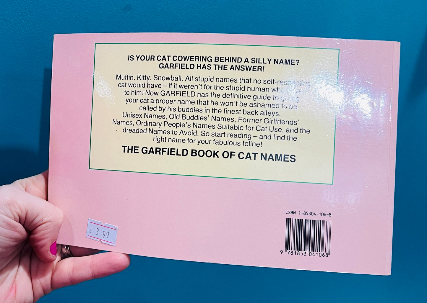 Vintage 1980s Garfield book of Cat Names