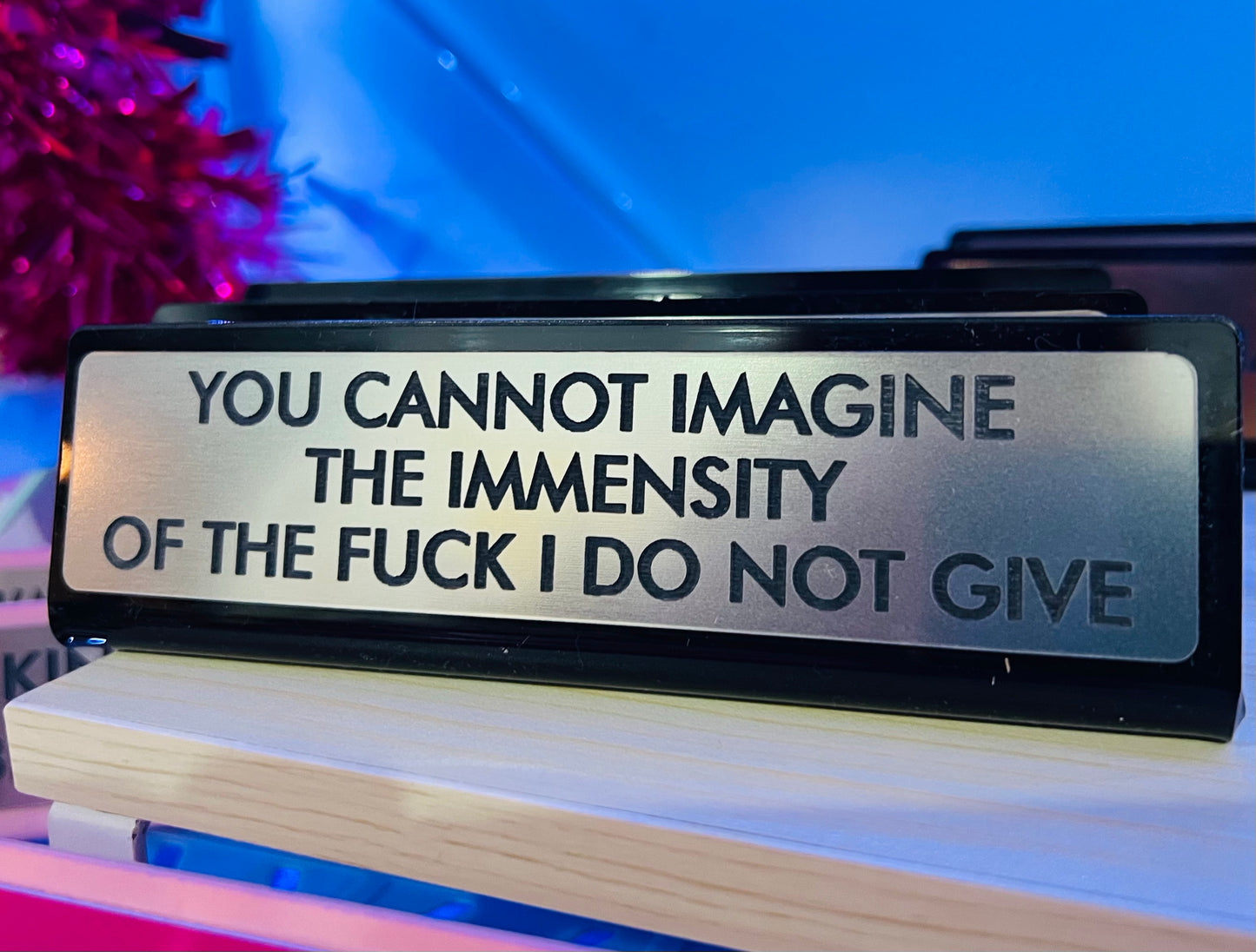 You Cannot Imagine the Immensity Desk Plate Sign