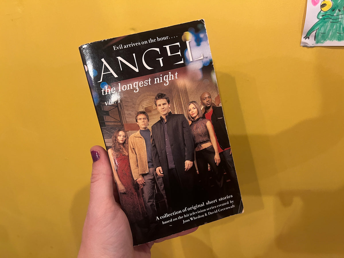 The Longest Night Angel book