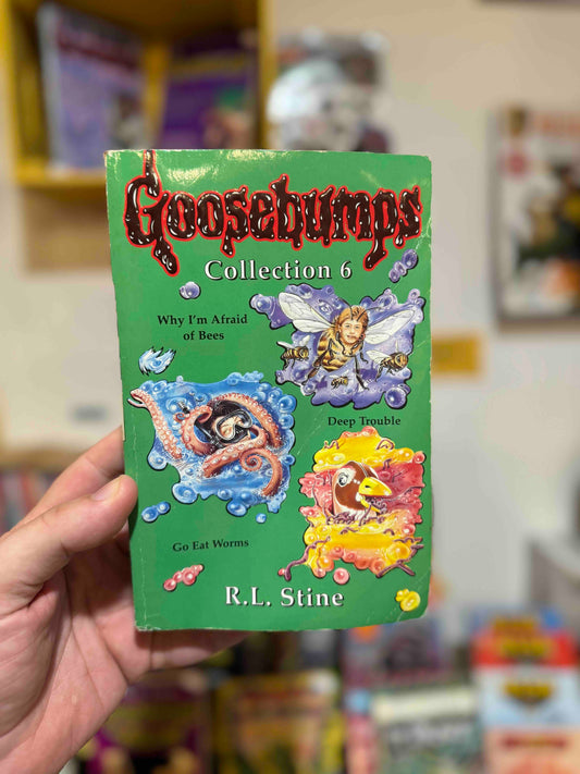 Collection 6 (3 books in 1) Goosebumps book