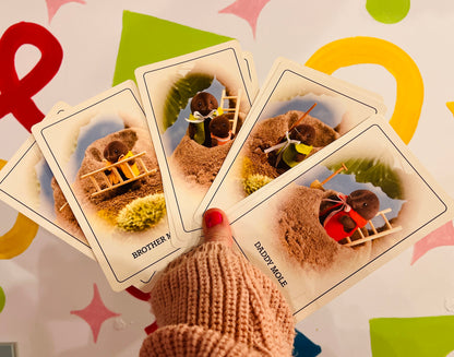 1988 Sylvanian Families card complete set with box - missing instructions