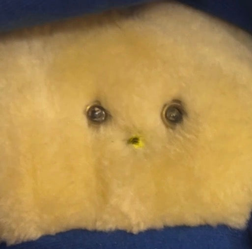 Vintage 1984 Chubbles Interactive plush