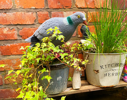 Fuzzy Pigeon Pals - lifelike pigeon props