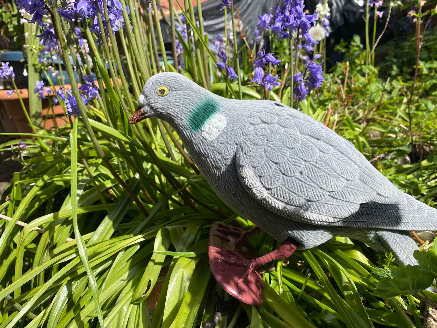 Fuzzy Pigeon Pals - lifelike pigeon props