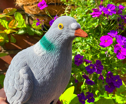 Fuzzy Pigeon Pals - lifelike pigeon props