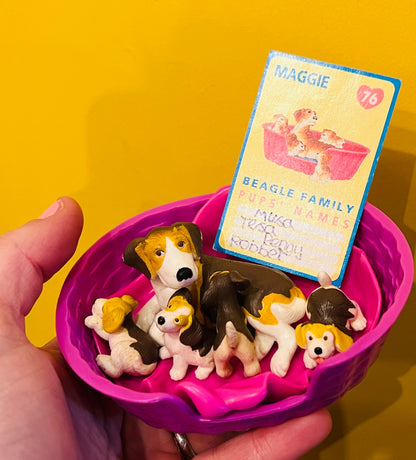 Puppy in my Pocket family with card - Maggie the Beagle