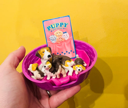 Puppy in my Pocket family with card - Maggie the Beagle