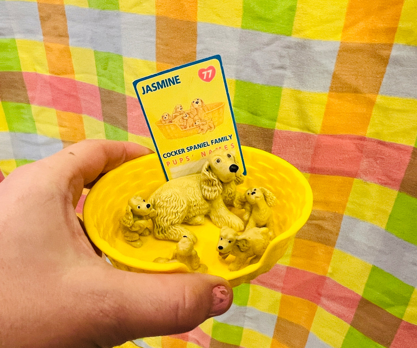 Puppy in my Pocket family with card - Jasmine the Cocker Spaniel