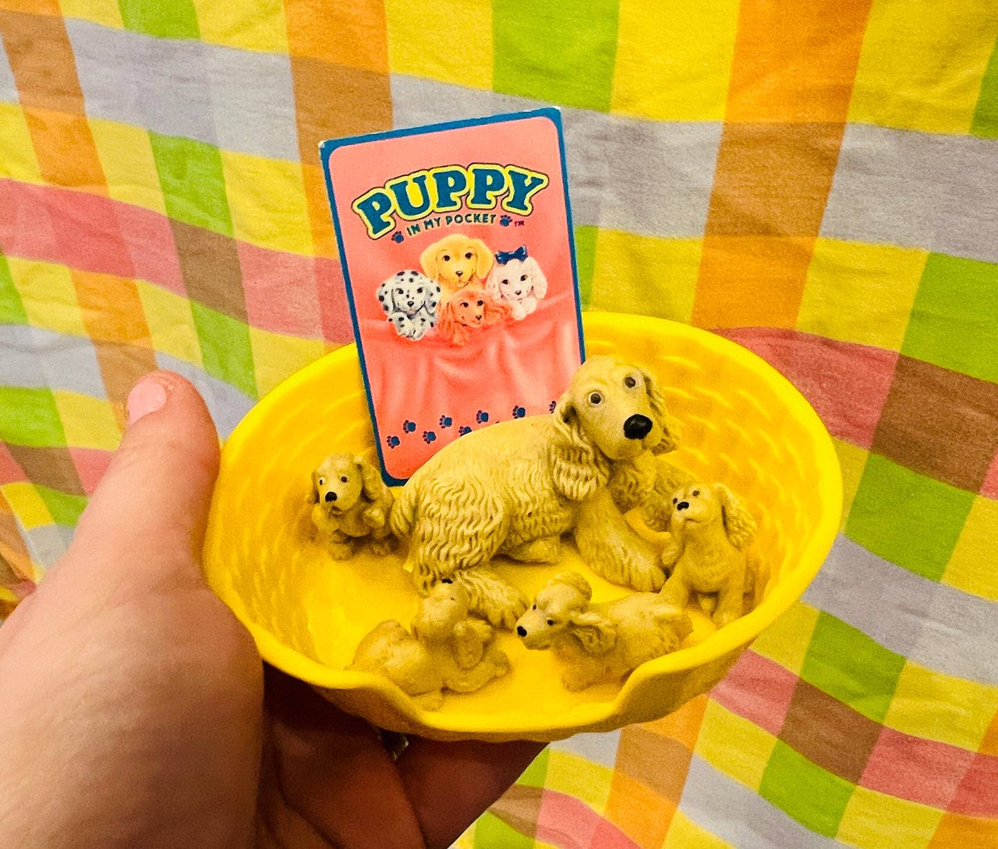 Puppy in my Pocket family with card - Jasmine the Cocker Spaniel