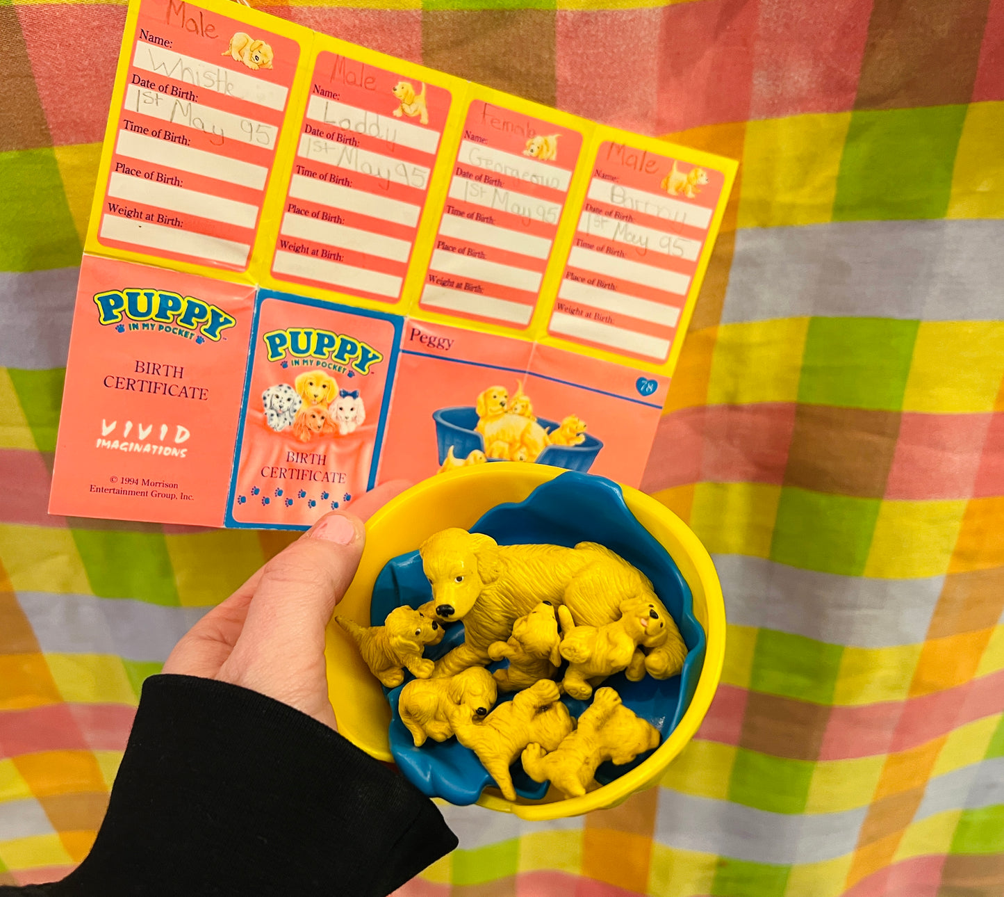 Puppy in my Pocket family with card - Peggy the Golden Retriever