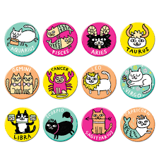 Catstrology Gemma Correll Pin Badge