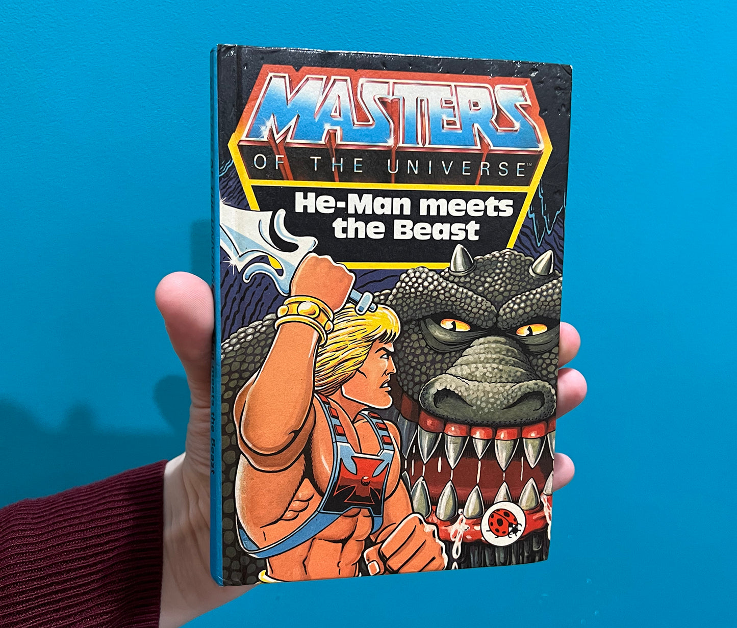 Vintage Masters of the Universe book - He-Man meets the beast